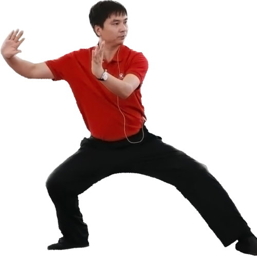 朱向华老师