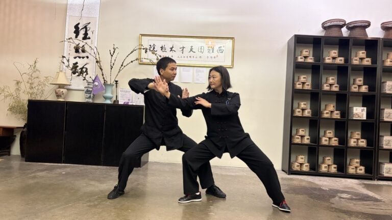 朱向华大师现场教学 · 2025