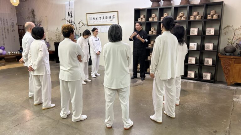 朱向华大师现场教学 · 2025