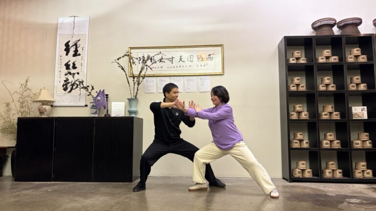 朱向华大师现场教学 · 2025